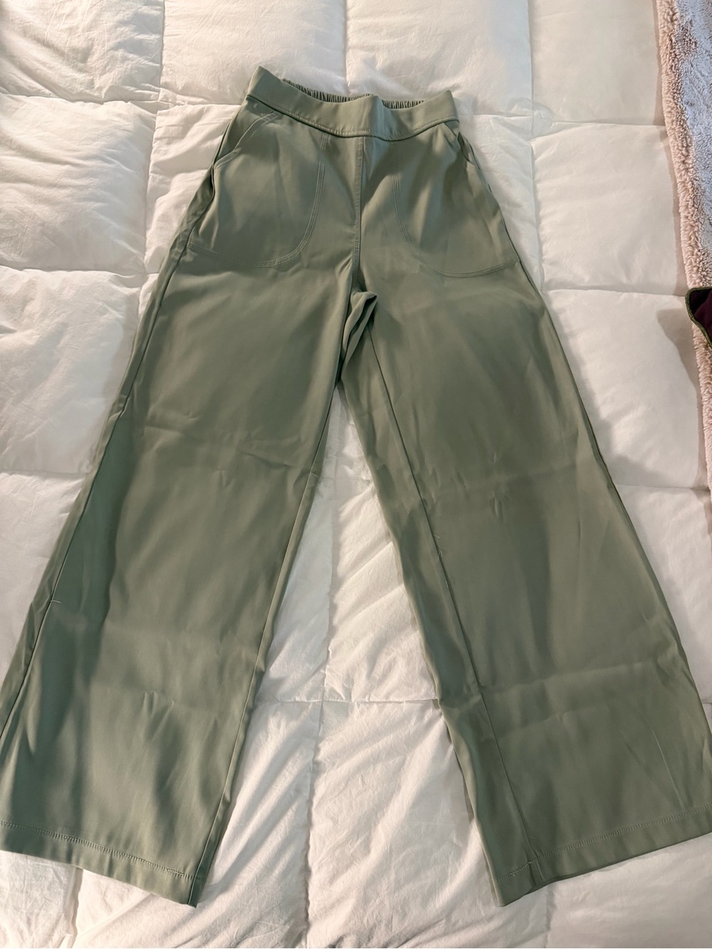 NWOT Max Studio Wide-Leg Pull-On Pants in Sage